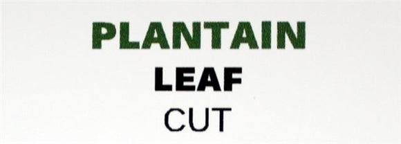 Plantain Leaf (Cut)